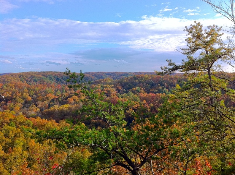 Natural Bridge State Park